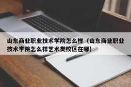 山东商业职业技术学院怎么样（山东商业职业技术学院怎么样艺术类校区在哪）