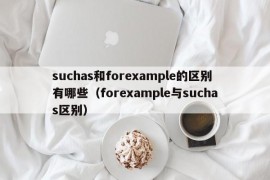 suchas和forexample的区别有哪些（forexample与suchas区别）
