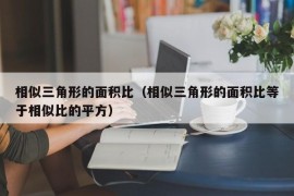 相似三角形的面积比（相似三角形的面积比等于相似比的平方）