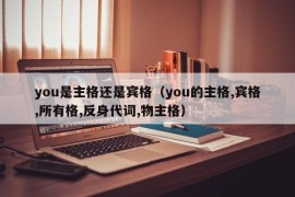 you是主格还是宾格（you的主格,宾格,所有格,反身代词,物主格）