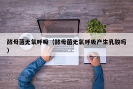酵母菌无氧呼吸（酵母菌无氧呼吸产生乳酸吗）