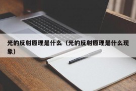 光的反射原理是什么（光的反射原理是什么现象）