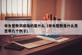 非负整数到底指的是什么（非负整数是什么意思举几个例子）