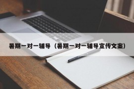 暑期一对一辅导（暑期一对一辅导宣传文案）