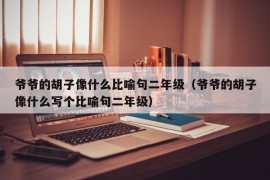 爷爷的胡子像什么比喻句二年级（爷爷的胡子像什么写个比喻句二年级）