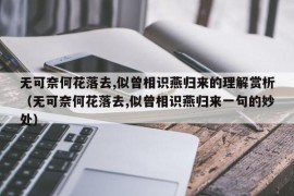 无可奈何花落去,似曾相识燕归来的理解赏析（无可奈何花落去,似曾相识燕归来一句的妙处）