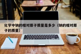 化学中钠的相对原子质量是多少（钠的相对原子的质量）