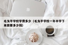 毛戈平学校学费多少（毛戈平学校一年半学下来需要多少钱）