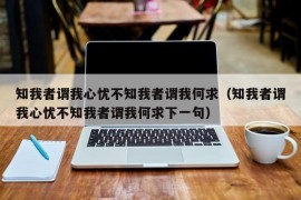 知我者谓我心忧不知我者谓我何求（知我者谓我心忧不知我者谓我何求下一句）