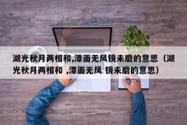 湖光秋月两相和,潭面无风镜未磨的意思（湖光秋月两相和 ,潭面无风 镜未磨的意思）