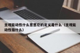 主观能动性什么意思它的定义是什么（主观能动性指什么）