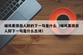 暖风熏得游人醉的下一句是什么（暖风熏得游人醉下一句是什么古诗）