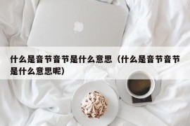 什么是音节音节是什么意思（什么是音节音节是什么意思呢）