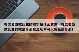 有志者当效此生的效字是什么意思（有志者当效此生的效是什么意思从中可以感受到什么）