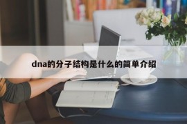 dna的分子结构是什么的简单介绍