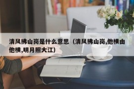 清风拂山岗是什么意思（清风拂山岗,他横由他横,明月照大江）