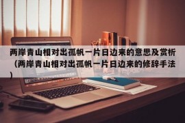 两岸青山相对出孤帆一片日边来的意思及赏析（两岸青山相对出孤帆一片日边来的修辞手法）