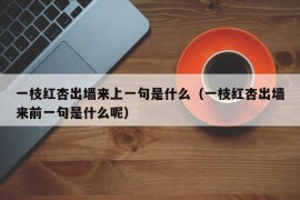 一枝红杏出墙来上一句是什么（一枝红杏出墙来前一句是什么呢）
