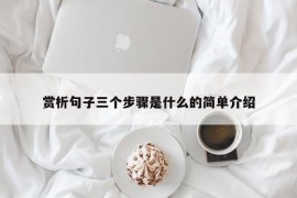 赏析句子三个步骤是什么的简单介绍