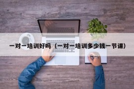 一对一培训好吗（一对一培训多少钱一节课）