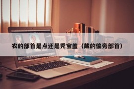 农的部首是点还是秃宝盖（戴的偏旁部首）