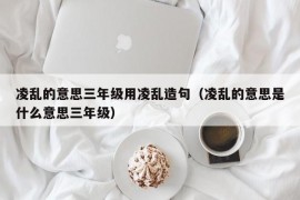凌乱的意思三年级用凌乱造句（凌乱的意思是什么意思三年级）