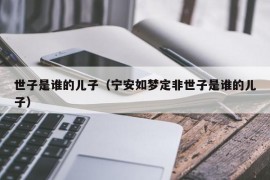 世子是谁的儿子（宁安如梦定非世子是谁的儿子）