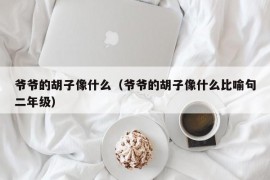 爷爷的胡子像什么（爷爷的胡子像什么比喻句二年级）
