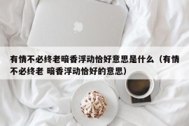 有情不必终老暗香浮动恰好意思是什么（有情不必终老 暗香浮动恰好的意思）