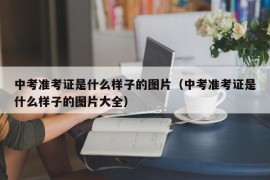 中考准考证是什么样子的图片（中考准考证是什么样子的图片大全）